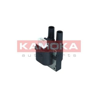 Ritė, uždegimas KAMOKA 7120054