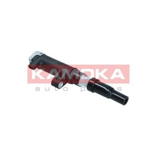 Ritė, uždegimas KAMOKA 7120057