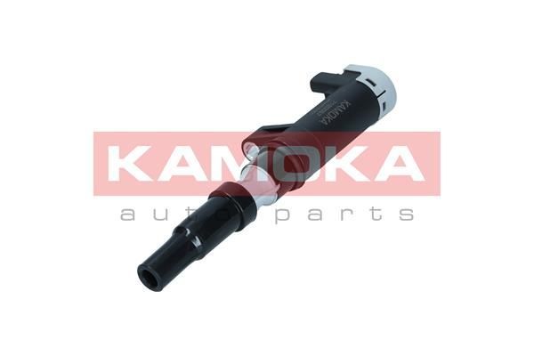 Ritė, uždegimas KAMOKA 7120057