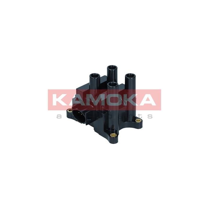 Ritė, uždegimas KAMOKA 7120059