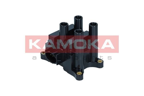 Ritė, uždegimas KAMOKA 7120059