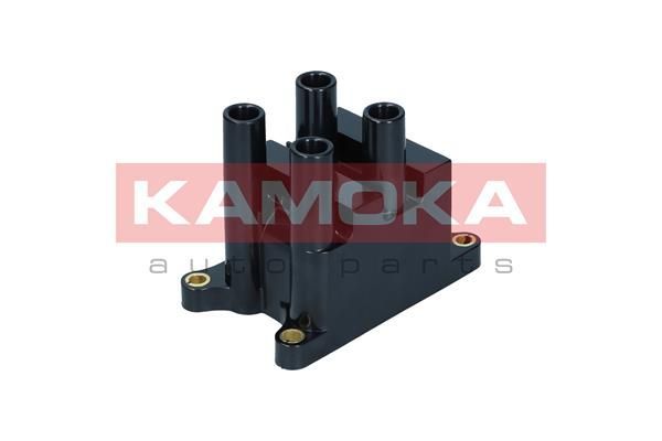 Ritė, uždegimas KAMOKA 7120059