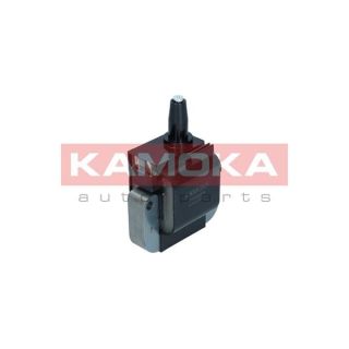 Ritė, uždegimas KAMOKA 7120064