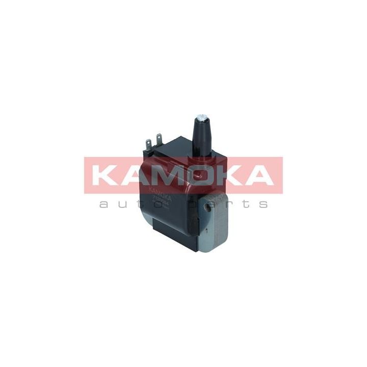 Ritė, uždegimas KAMOKA 7120064