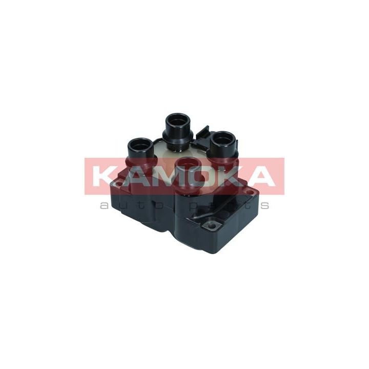 Ritė, uždegimas KAMOKA 7120069