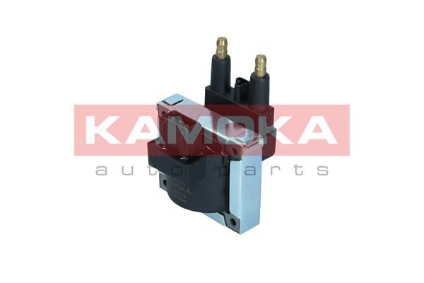 Ritė, uždegimas KAMOKA 7120073