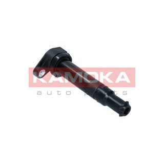 Ritė, uždegimas KAMOKA 7120076