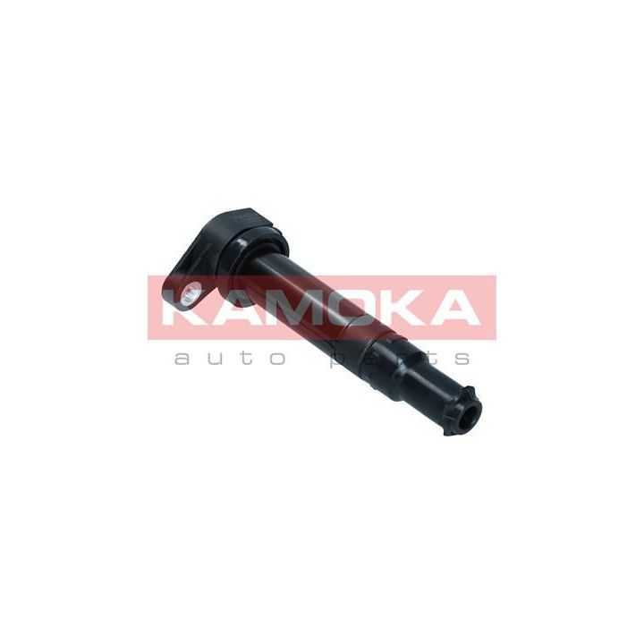 Ritė, uždegimas KAMOKA 7120076