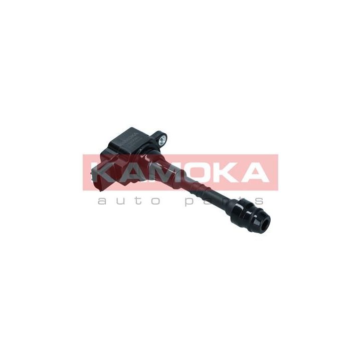 Ritė, uždegimas KAMOKA 7120080