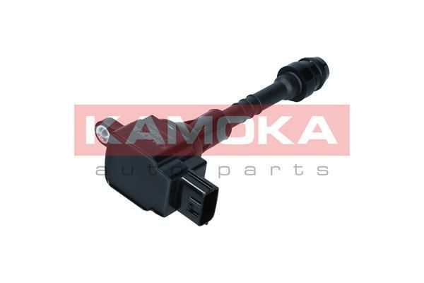 Ritė, uždegimas KAMOKA 7120080