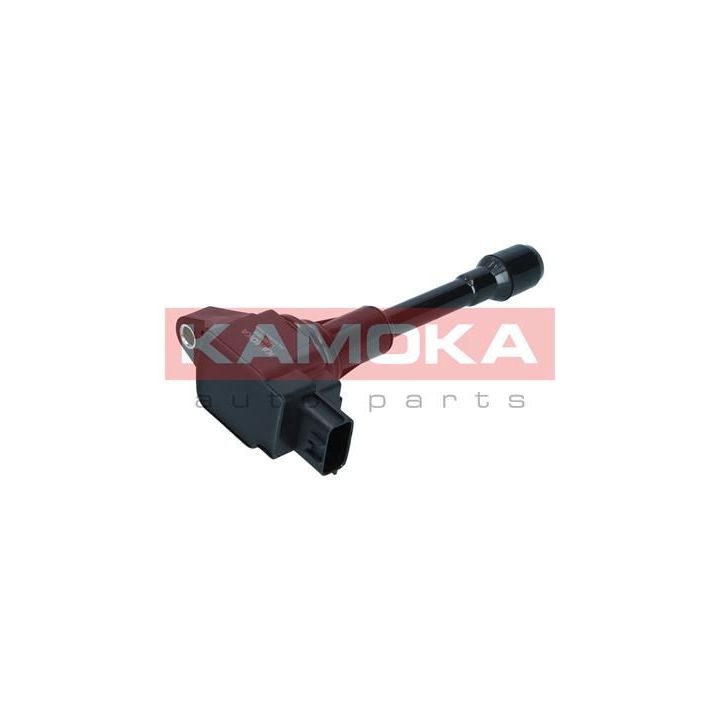 Ritė, uždegimas KAMOKA 7120086