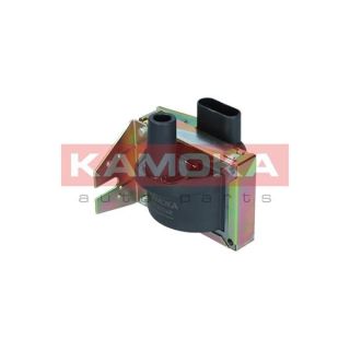 Ritė, uždegimas KAMOKA 7120092