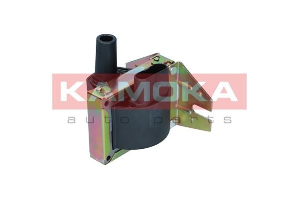 Ritė, uždegimas KAMOKA 7120092