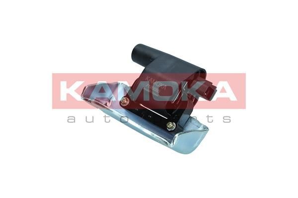 Ritė, uždegimas KAMOKA 7120095