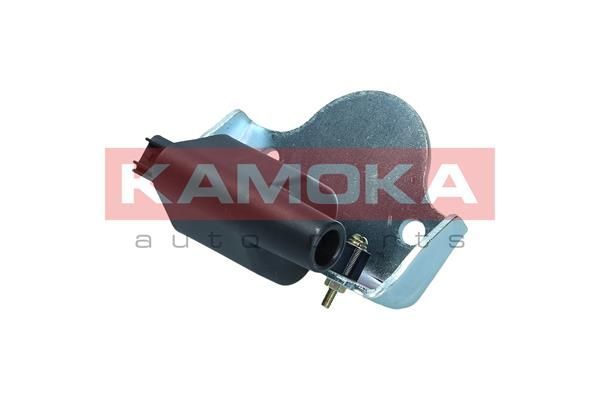 Ritė, uždegimas KAMOKA 7120095