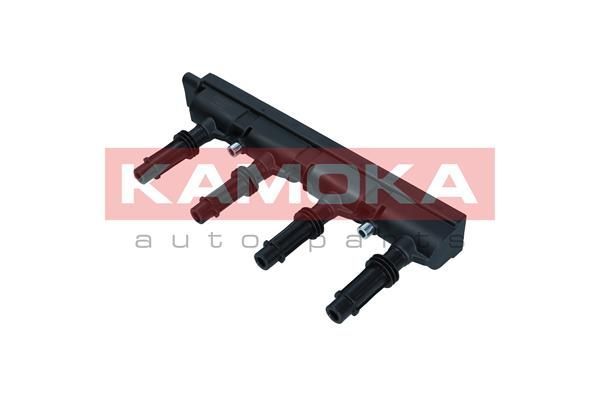 Ritė, uždegimas KAMOKA 7120096