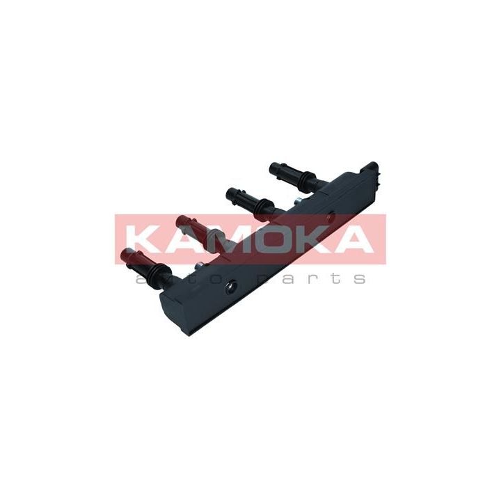 Ritė, uždegimas KAMOKA 7120096