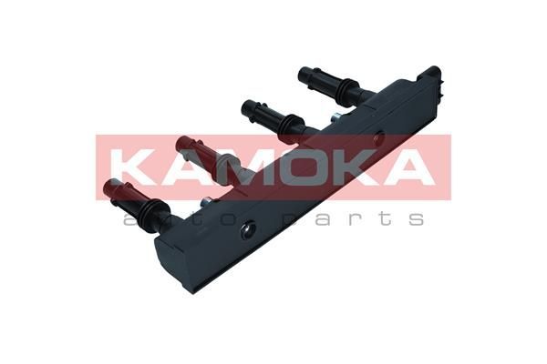 Ritė, uždegimas KAMOKA 7120096