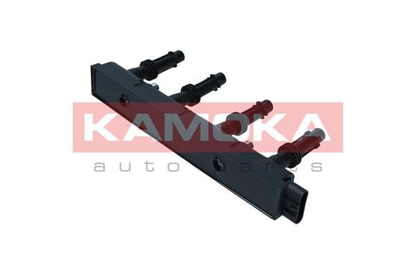 Ritė, uždegimas KAMOKA 7120096