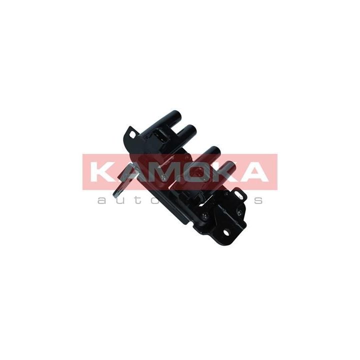 Ritė, uždegimas KAMOKA 7120102