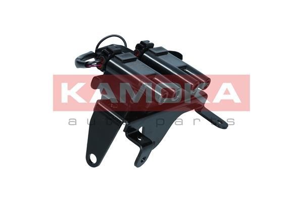 Ritė, uždegimas KAMOKA 7120104