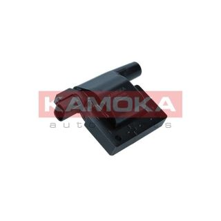 Ritė, uždegimas KAMOKA 7120106