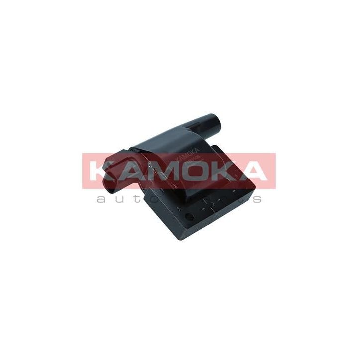 Ritė, uždegimas KAMOKA 7120106