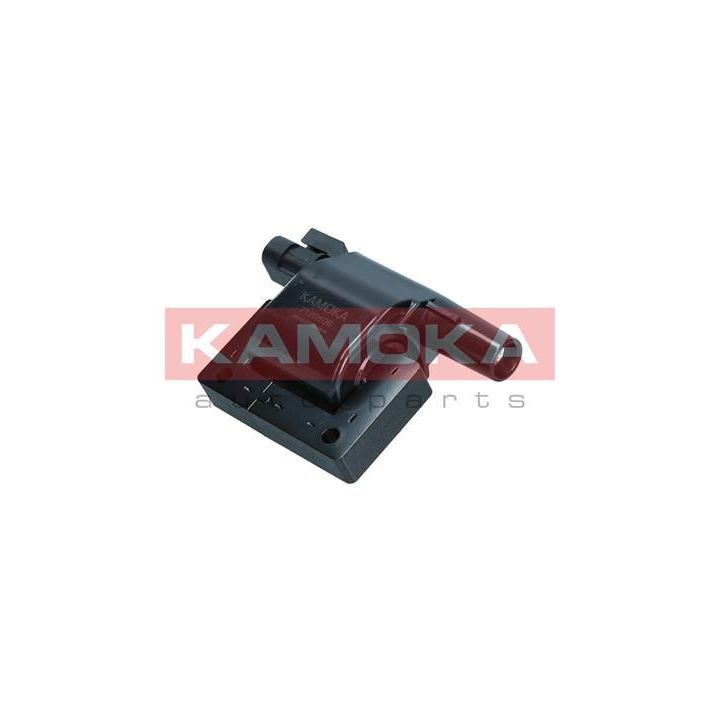 Ritė, uždegimas KAMOKA 7120106