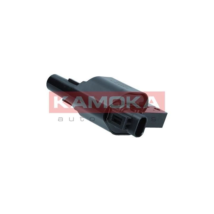 Ritė, uždegimas KAMOKA 7120106