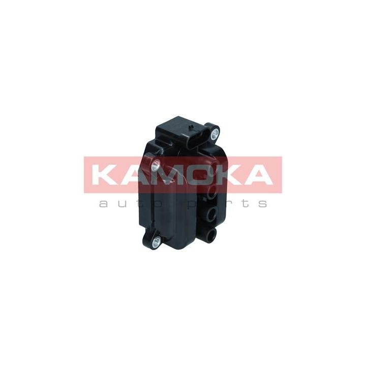 Ritė, uždegimas KAMOKA 7120107