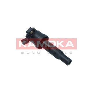 Ritė, uždegimas KAMOKA 7120110