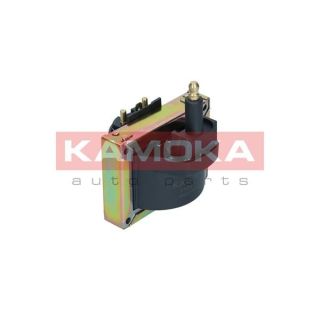 Ritė, uždegimas KAMOKA 7120111