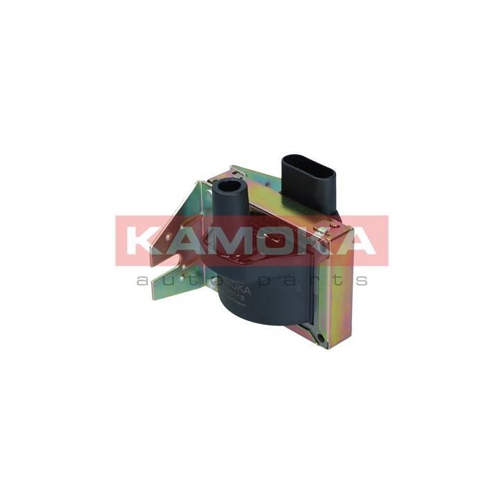 Ritė, uždegimas KAMOKA 7120113