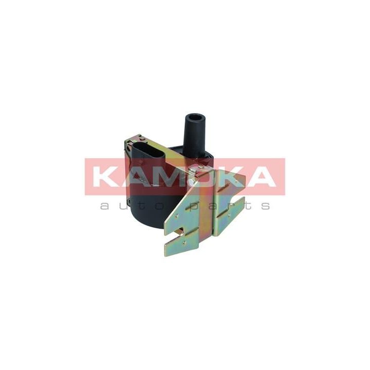 Ritė, uždegimas KAMOKA 7120113