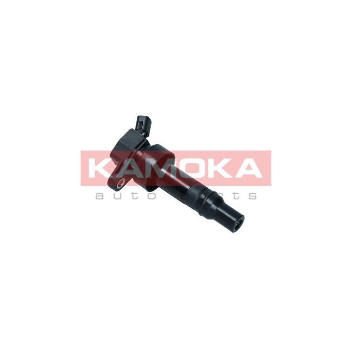 Ritė, uždegimas KAMOKA 7120114