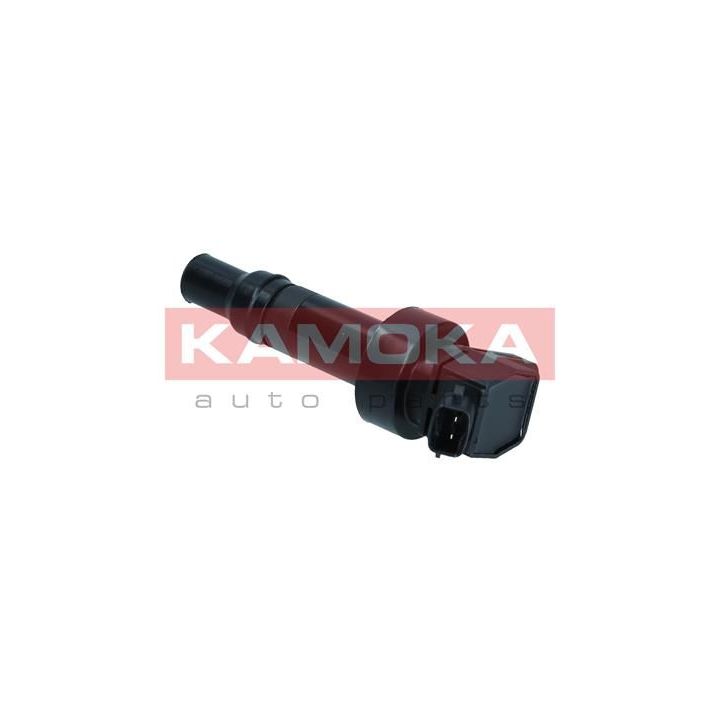 Ritė, uždegimas KAMOKA 7120114