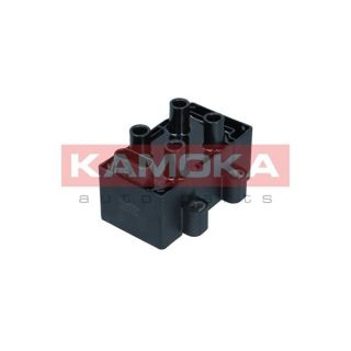 Ritė, uždegimas KAMOKA 7120116