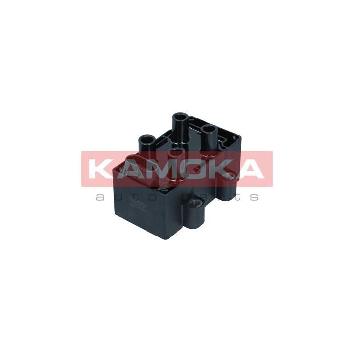 Ritė, uždegimas KAMOKA 7120116