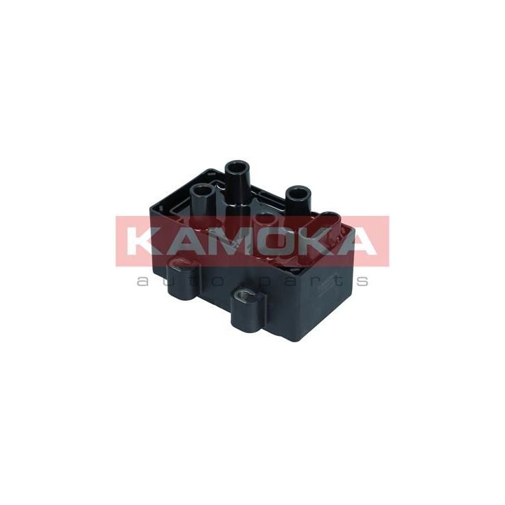 Ritė, uždegimas KAMOKA 7120116