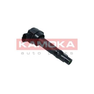 Ritė, uždegimas KAMOKA 7120129