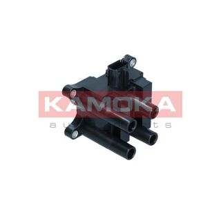 Ritė, uždegimas KAMOKA 7120134