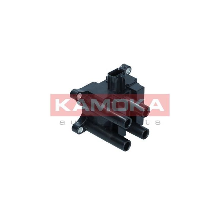 Ritė, uždegimas KAMOKA 7120134