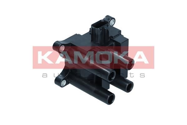 Ritė, uždegimas KAMOKA 7120134