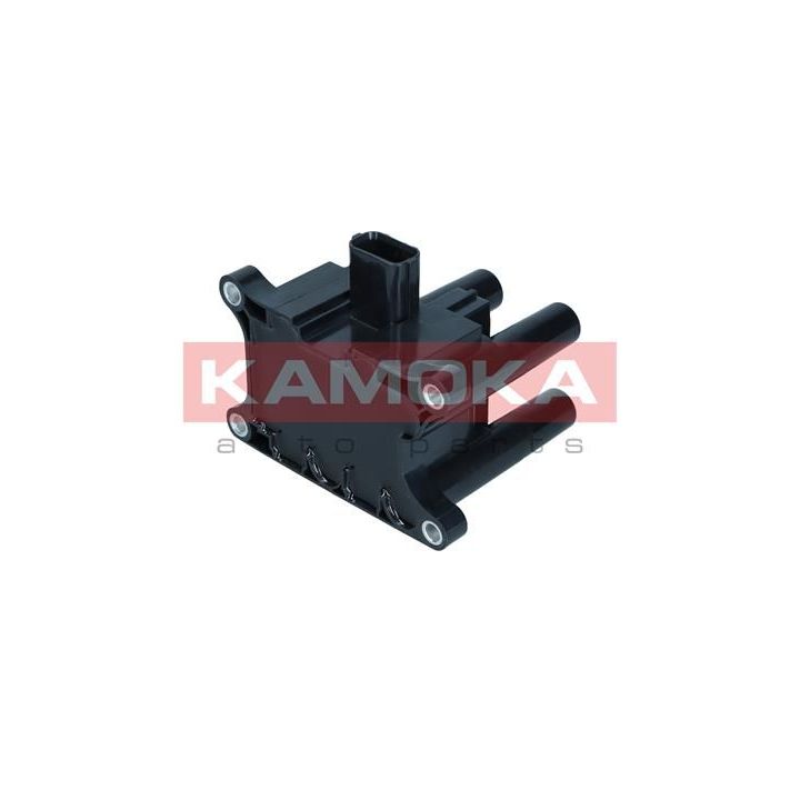 Ritė, uždegimas KAMOKA 7120134