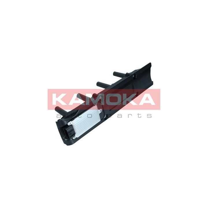 Ritė, uždegimas KAMOKA 7120137