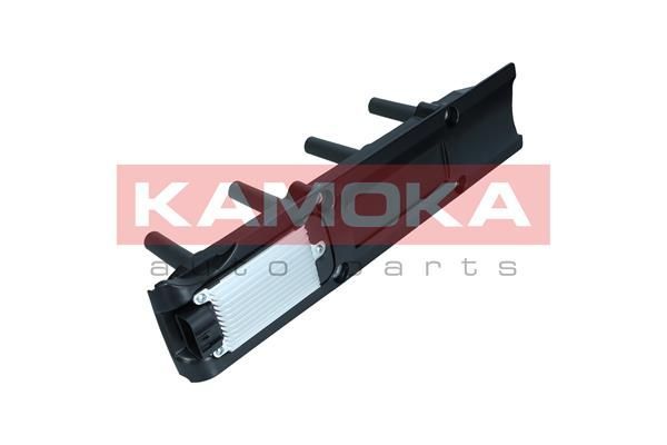 Ritė, uždegimas KAMOKA 7120137