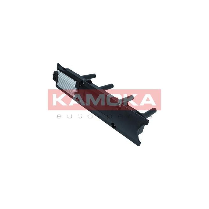 Ritė, uždegimas KAMOKA 7120137