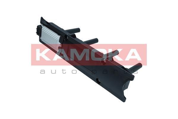 Ritė, uždegimas KAMOKA 7120137