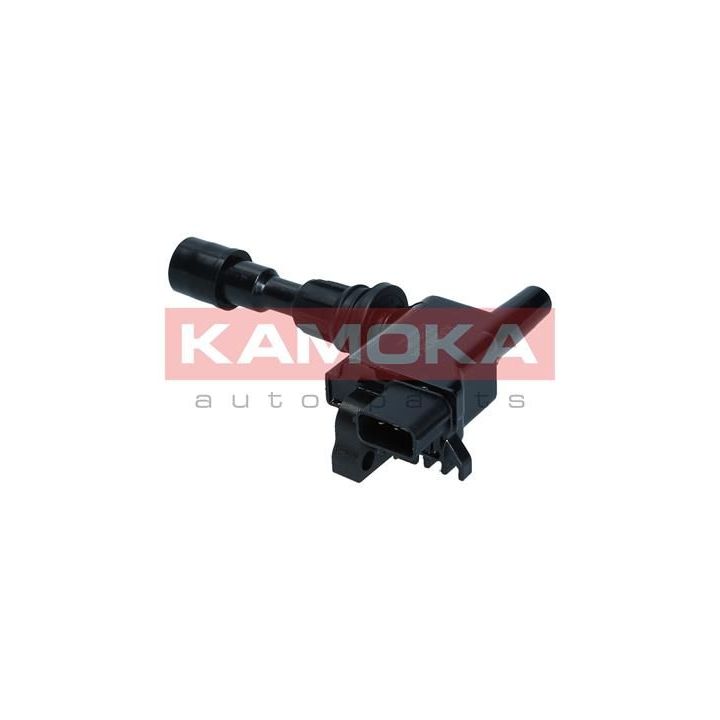 Ritė, uždegimas KAMOKA 7120138