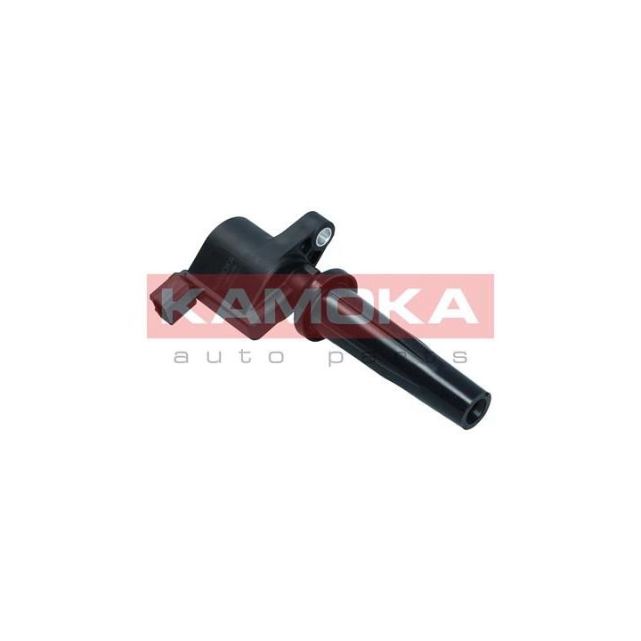 Ritė, uždegimas KAMOKA 7120139